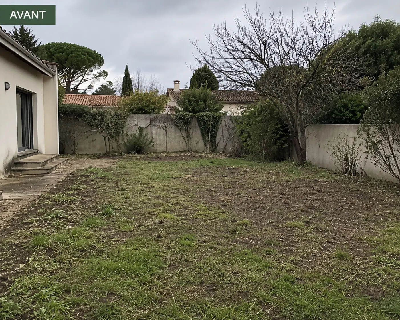 Jardin en friche avant travaux